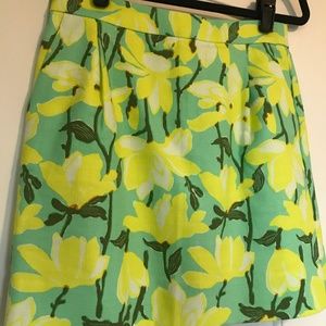 Bright and Cheery Mini Skirt